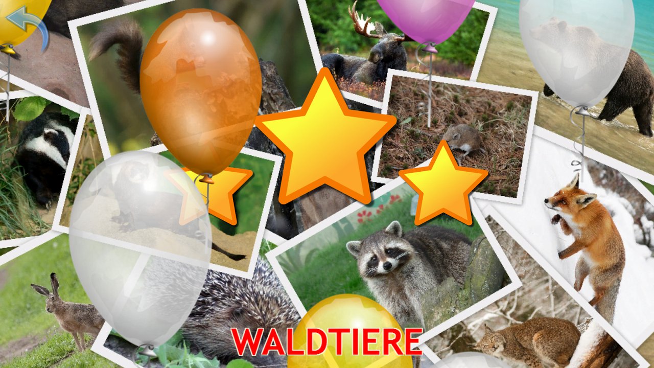 Weitere Sterne und Luftballons nach dem Quiz