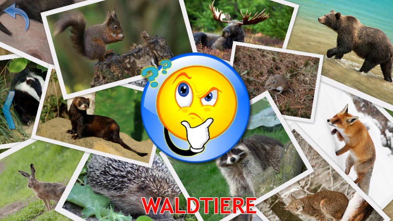 Bilderquiz über Waldtiere