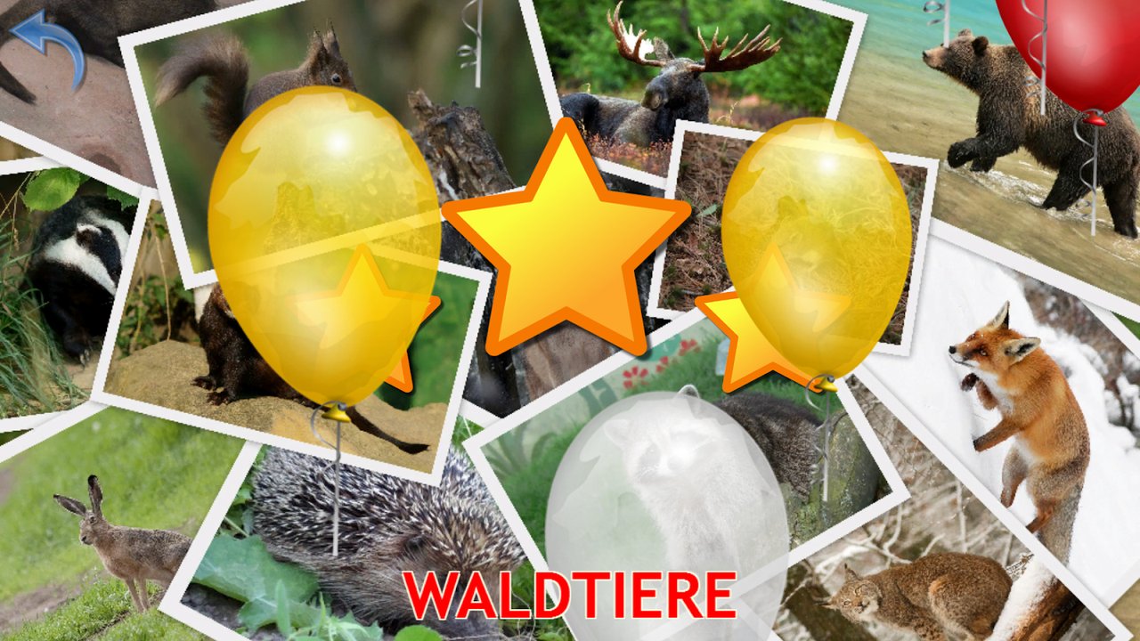 Waldtiere mit Wildschwein, Hase, Wolf und Bär
