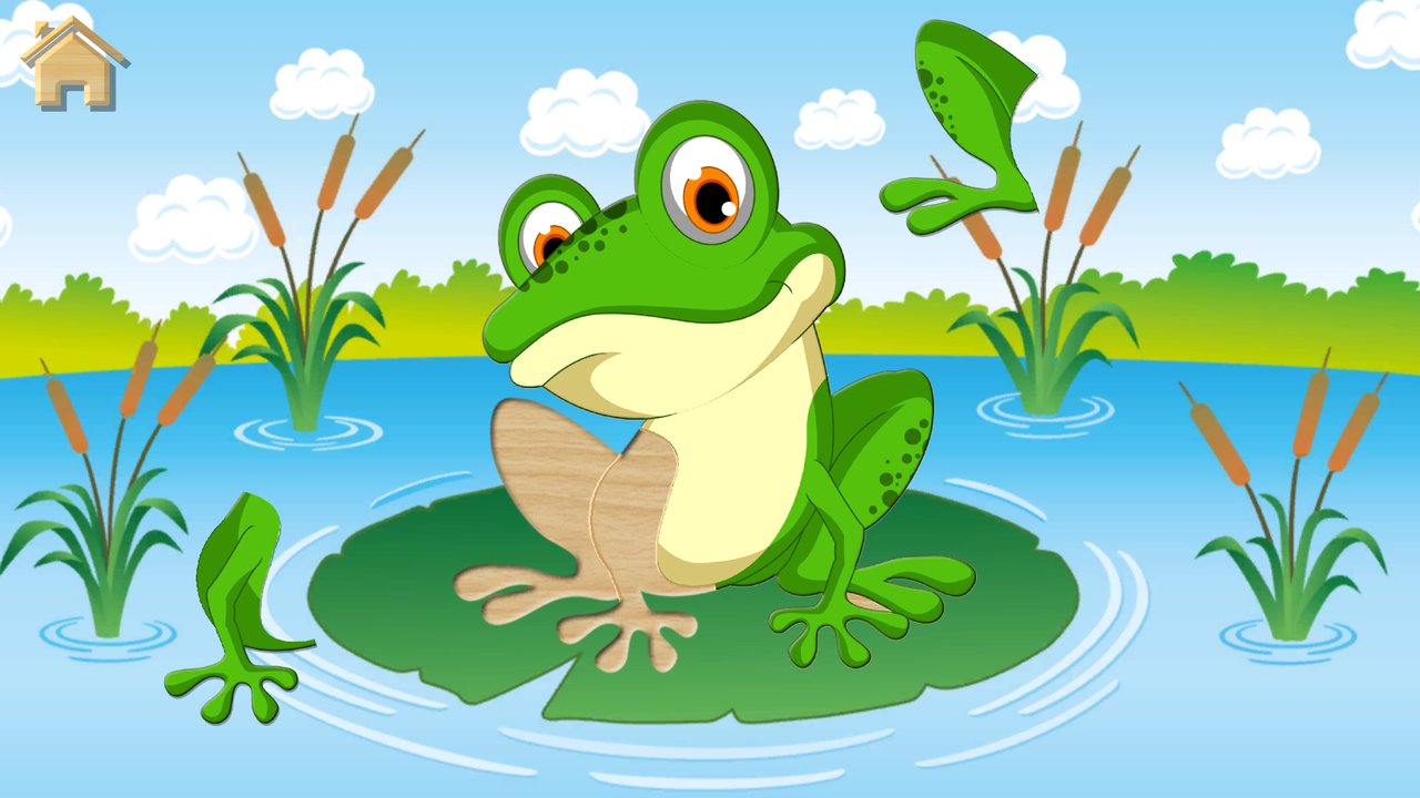 Frosch-Puzzle aus großen Teilen