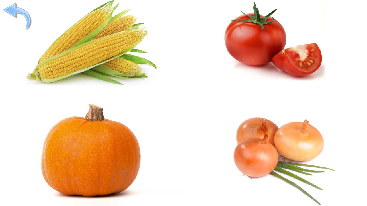Mais, Kürbis, Tomate und Zwiebeln