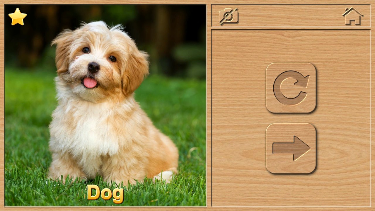 Completed dog photograph with the animal name