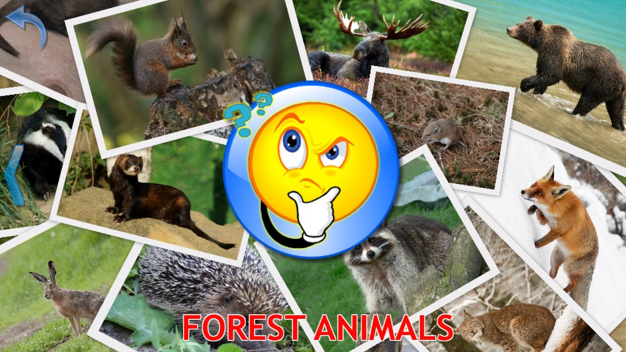 Forest animals picture quiz