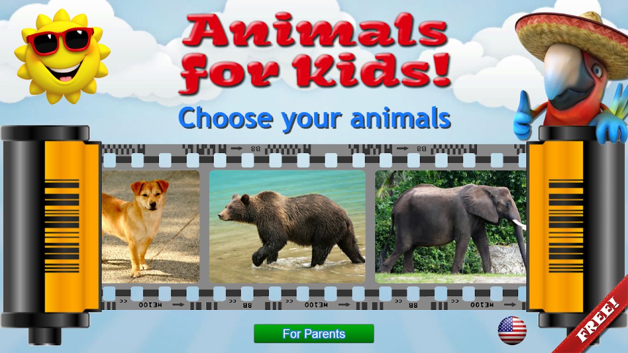 Animal group selection with a dog, bear and elephant