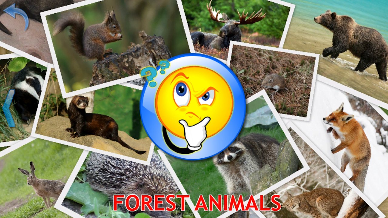 Forest animals picture quiz