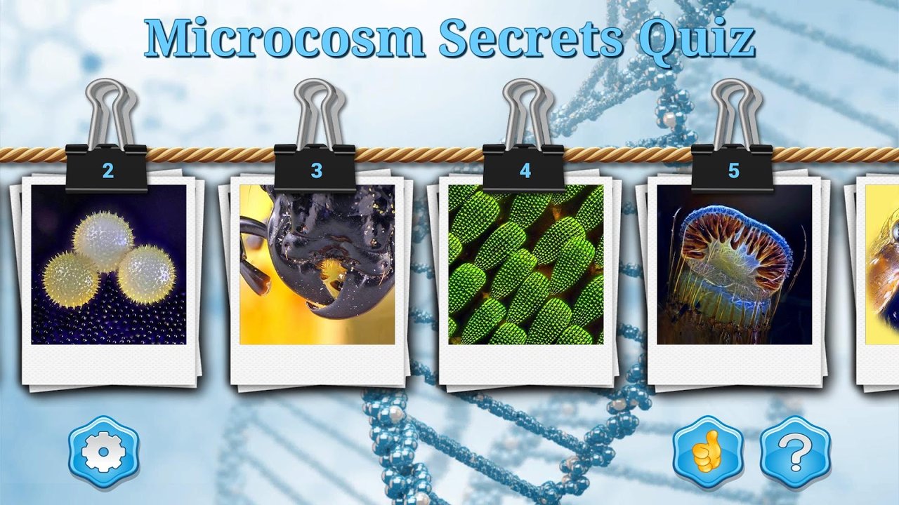 Choosing a level in Microcosm Secrets Quiz