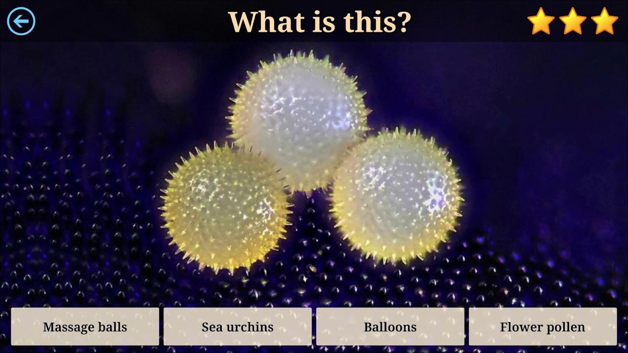 Quiz question showing flower pollen under a microscope