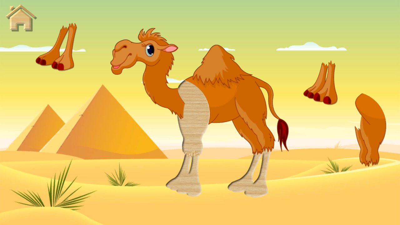 Assembling the camel puzzle in the desert