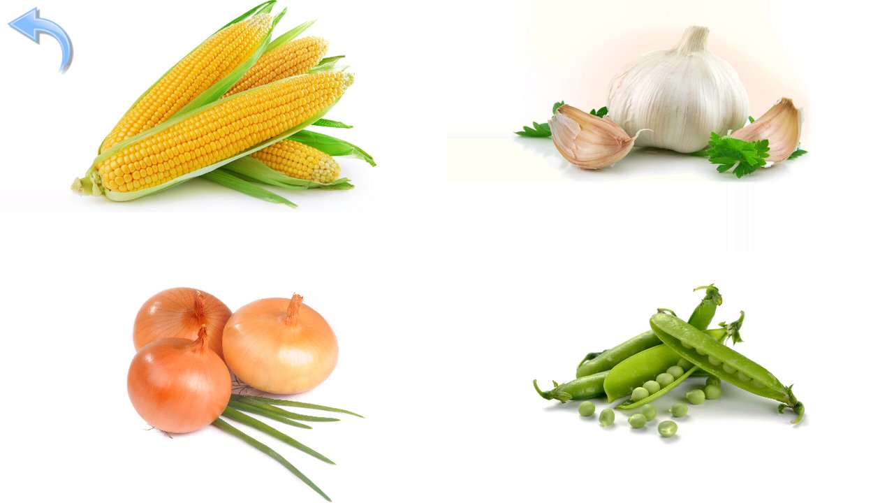 Vegetable picture quiz with corn, garlic, onions and peas