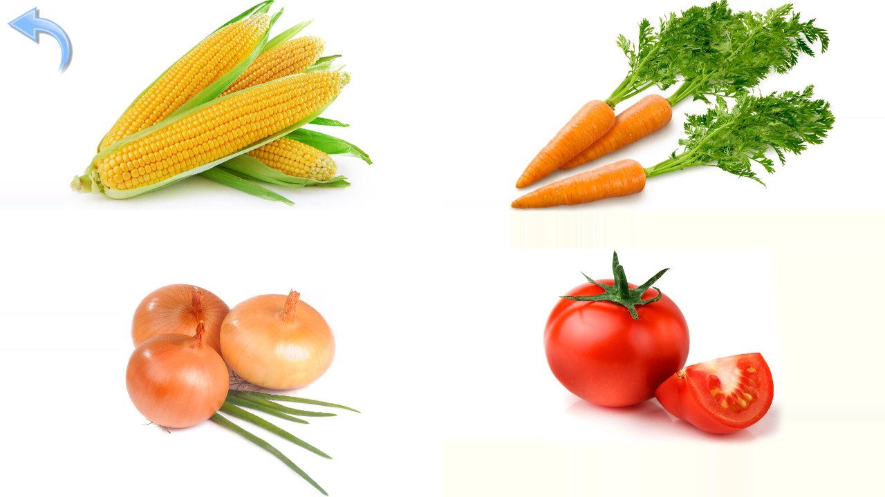 Vegetable picture quiz with corn, carrots, onions and tomatoes