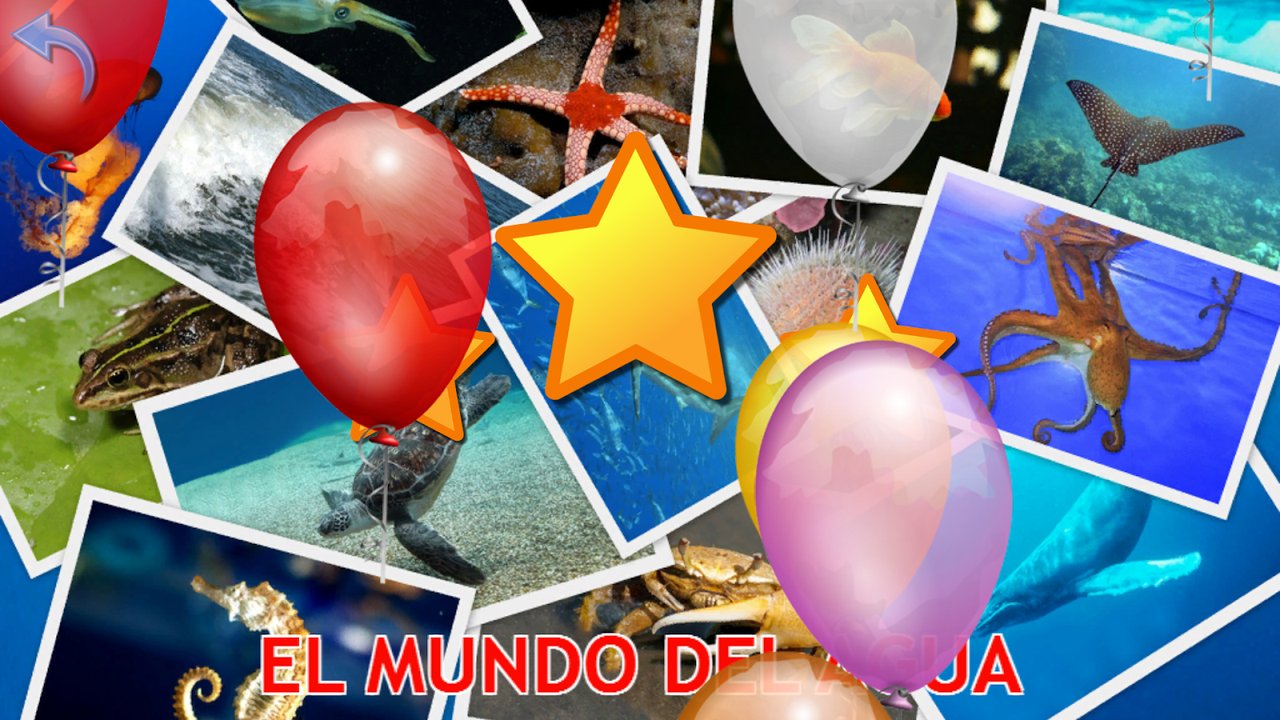 Pantalla de resultado «El mundo del agua» con globos, estrellas y fotos de una tortuga, un pulpo y una ballena