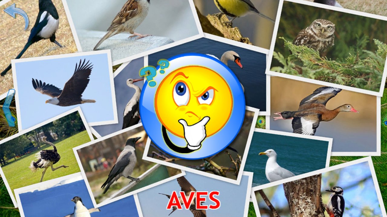 Cuestionario de aves con urraca, gorrión, búho, cigüeña, gaviota y avestruz