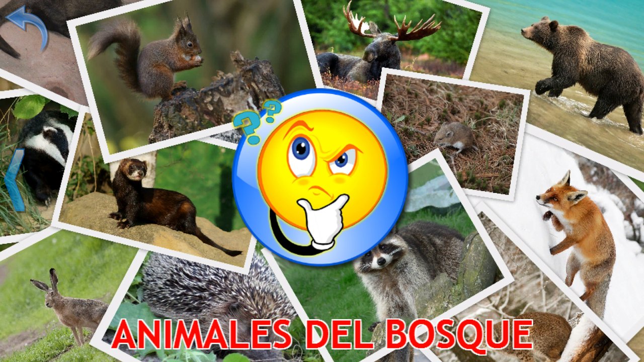 Cuestionario de animales del bosque con ardilla, alce, oso, hurón, mapache y zorro