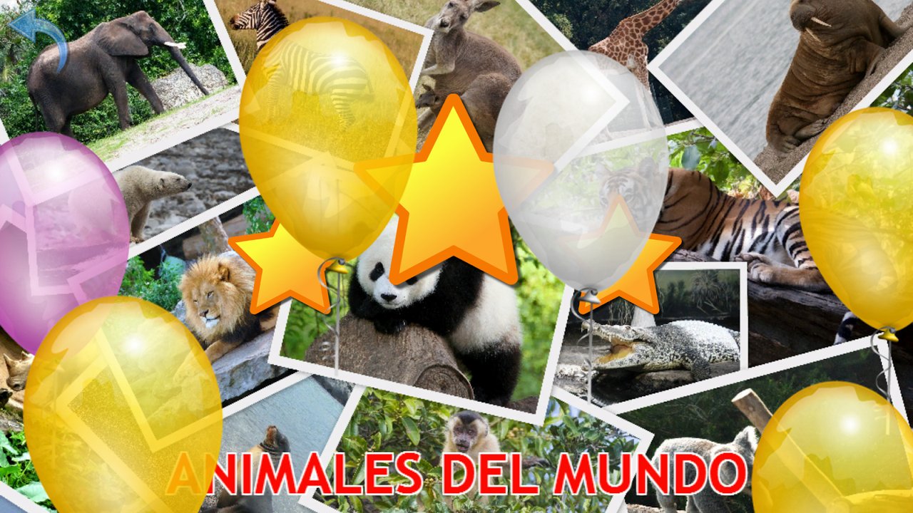 Pantalla de resultado con globos y estrellas tras el cuestionario de animales del mundo