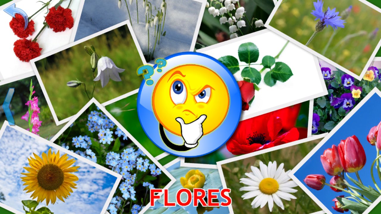 Cuestionario de flores con claveles, campanillas, lirios del valle, amapolas y girasoles