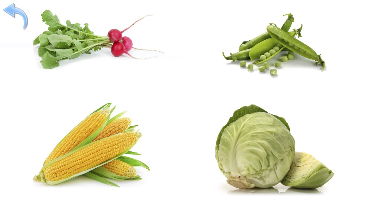 Collage de fotos con rábanos, guisantes en su vaina, mazorcas de maíz y un repollo