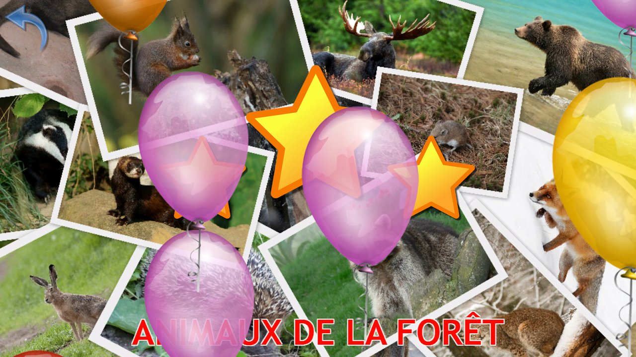 Collage animé avec étoiles et ballons après un quiz réussi sur les animaux de la forêt