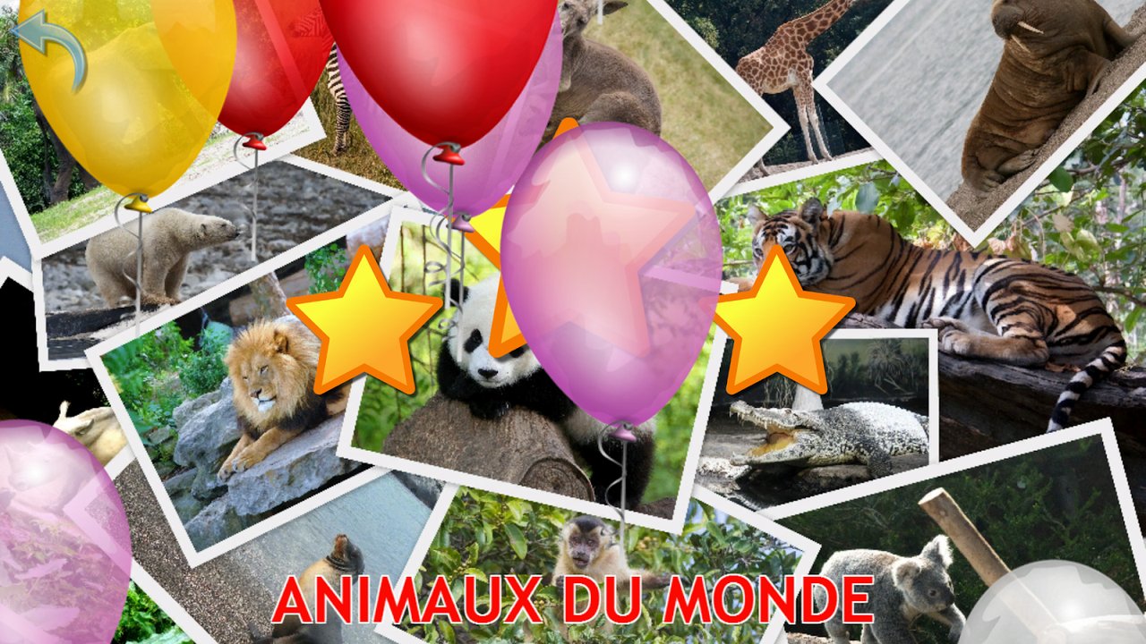 Collage animé avec étoiles et ballons après un quiz réussi sur les animaux du monde