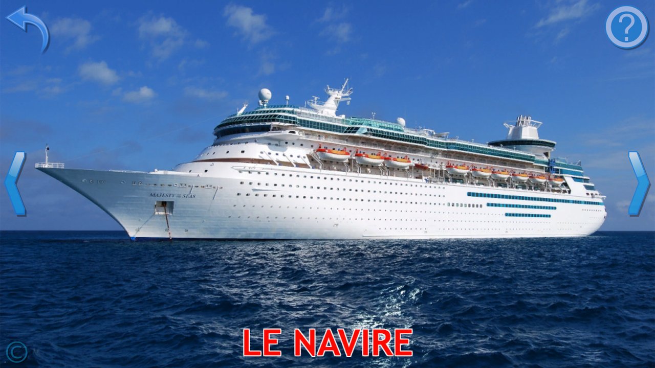 Paquebot de croisière voguant sur la mer