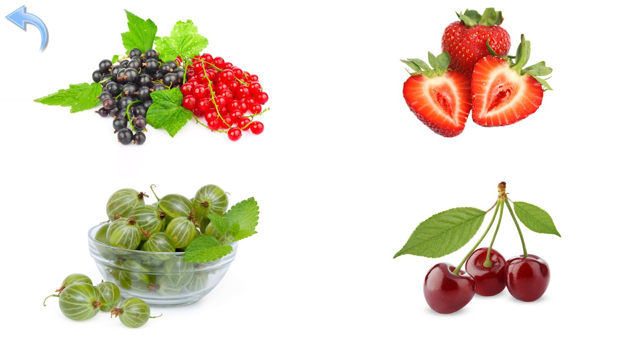 Quiz en images avec groseilles, fraises, groseilles à maquereau et cerises