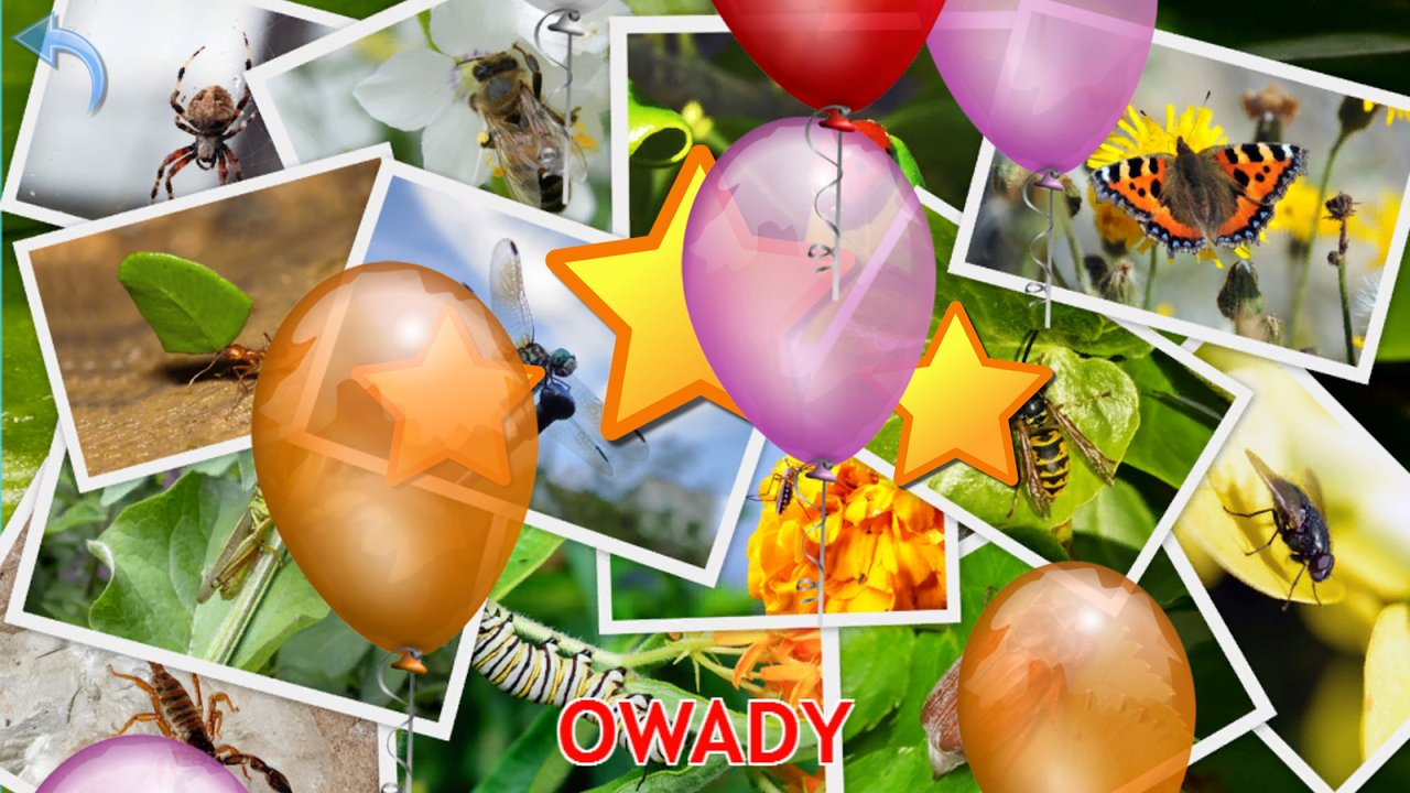 Gwiazdki i balony po quizie o owadach
