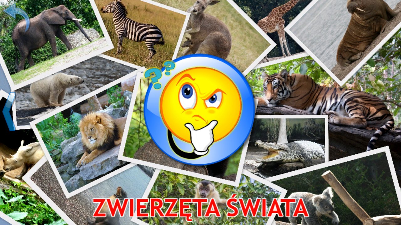Quiz obrazkowy o zwierzętach świata ze zdjęciami lwa, tygrysa, słonia i zebry