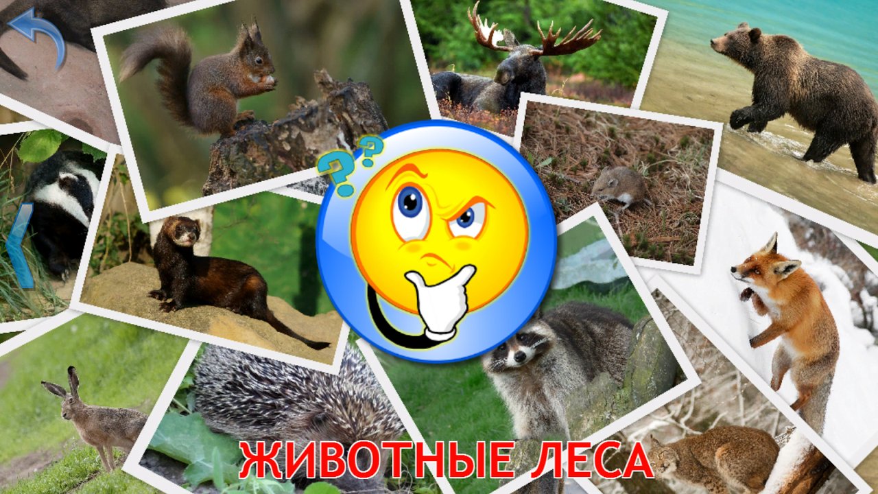 Игра-тест с лесными животными