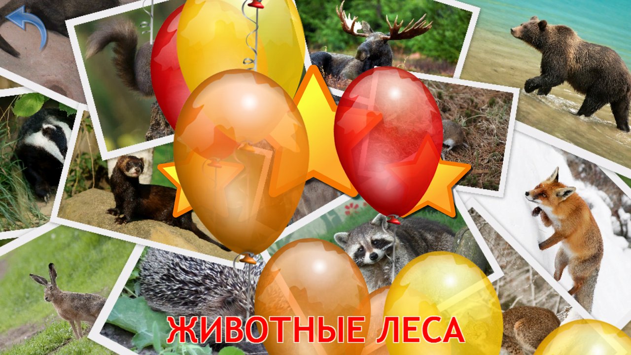 Звёзды и воздушные шары после игры с лесными животными