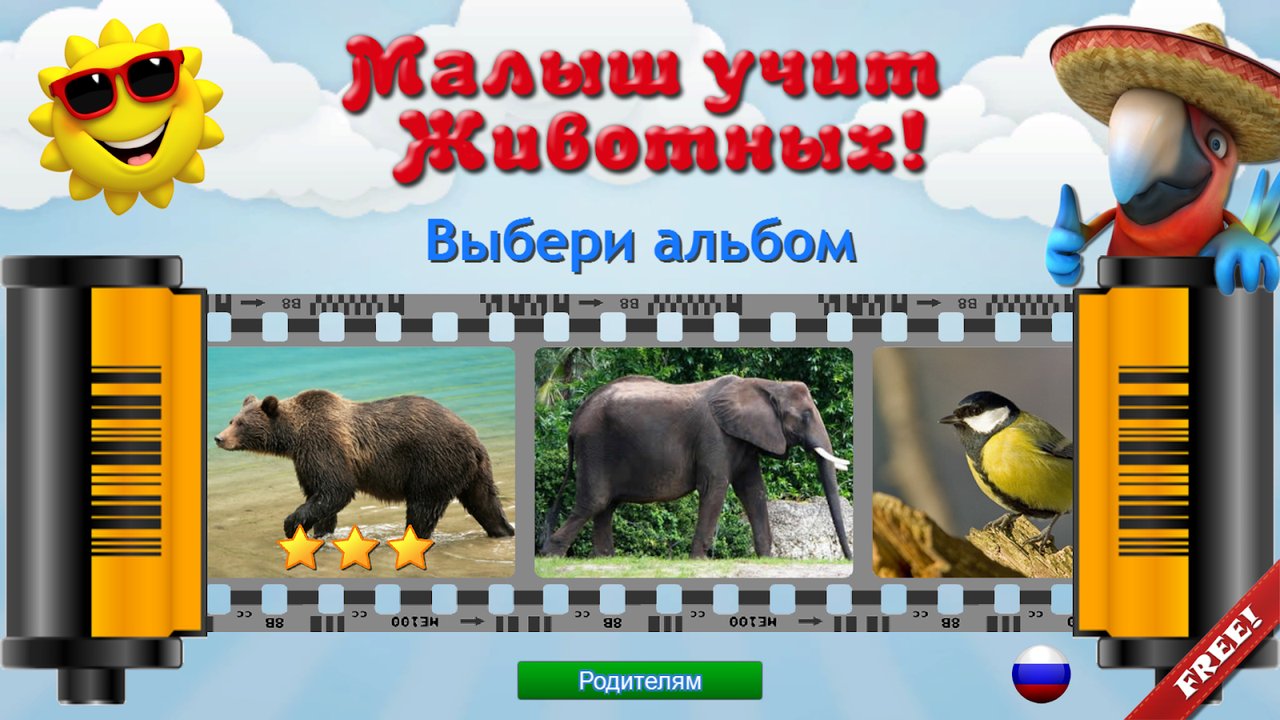 Лесные животные: кабан, бурый медведь, хорёк и енот