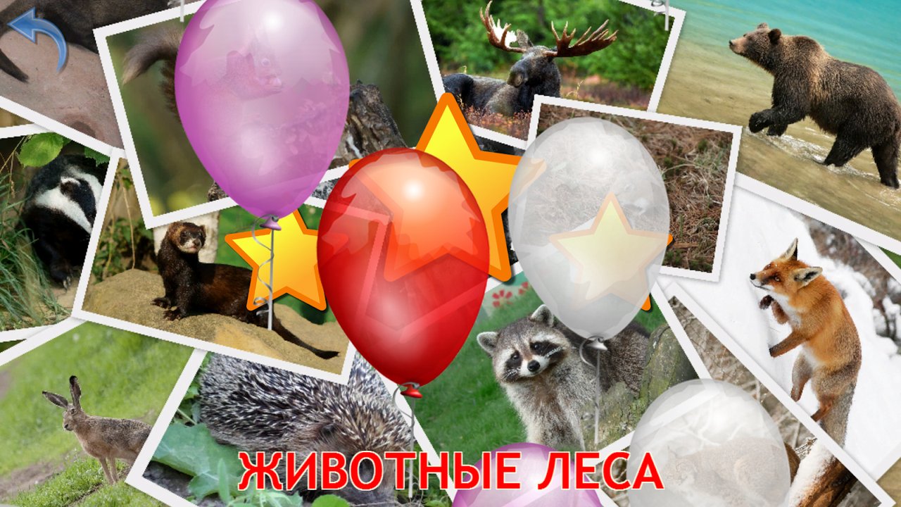 Звёзды и воздушные шары после игры с лесными животными