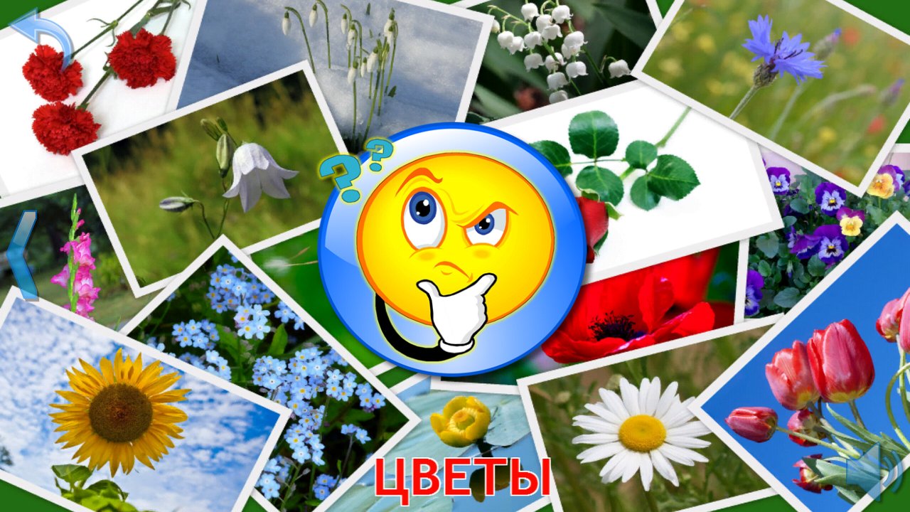 Игра-тест по фотографиям разных цветов