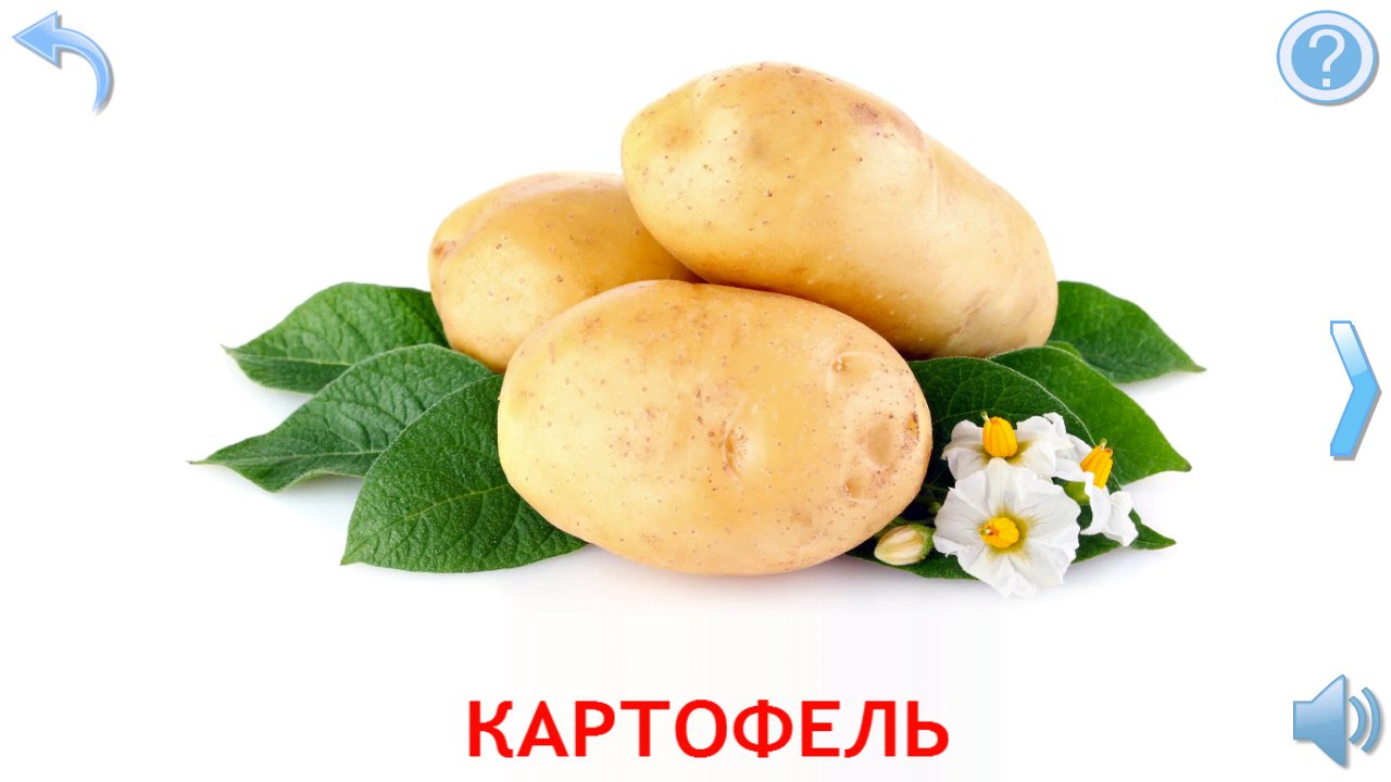 Карточка с фотографией картофеля