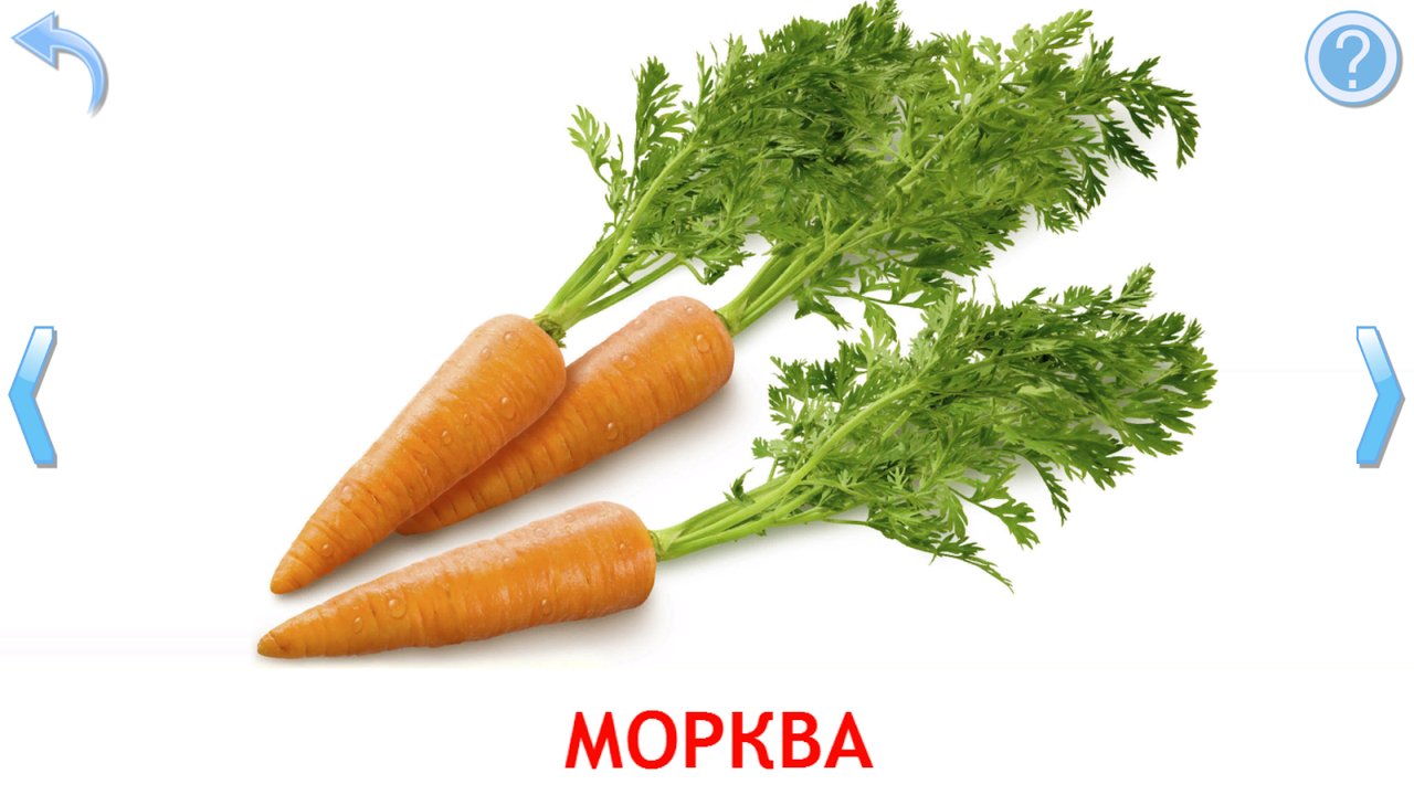 Картка зі справжнім фото моркви з бадиллям